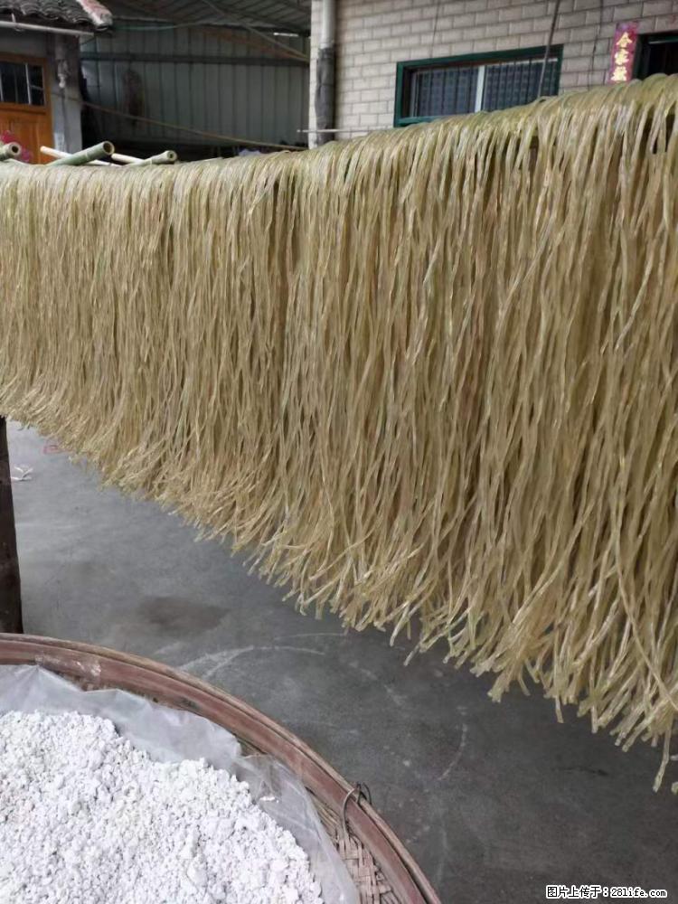 【灌阳正宗红薯粉】美女家里自己做的,干净卫生,假一赔十,价格合理,抢购电话:13737312895 - 美食天地 - 张北生活社区 - 张北28生活网 zhangbei.28life.com