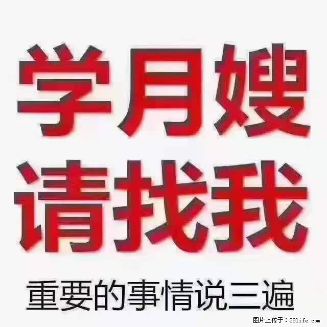 为什么要学习月嫂,育婴师? - 其他广告 - 广告专区 - 张北分类信息 - 张北28生活网 zhangbei.28life.com