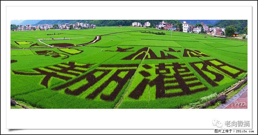 【春天，广西桂林灌阳县向您发出邀请！】开篇 - 游山玩水 - 张北生活社区 - 张北28生活网 zhangbei.28life.com