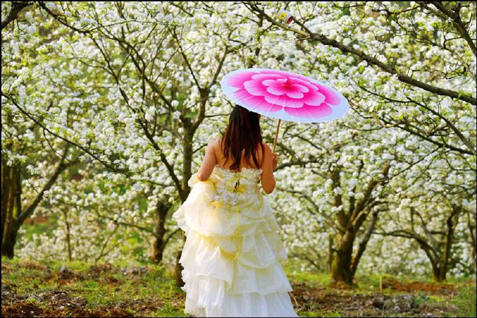 【春天，广西桂林灌阳县向您发出邀请！】我们在灌阳看梨花 - 游山玩水 - 张北生活社区 - 张北28生活网 zhangbei.28life.com