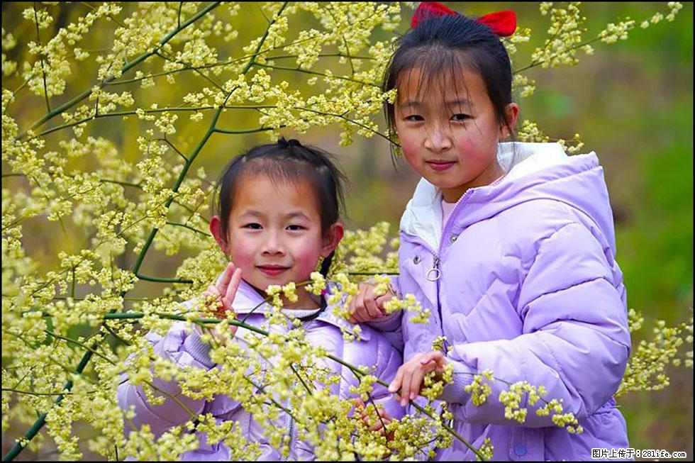 【春天，广西桂林灌阳县向您发出邀请！】米珠山前有片山苍子花在飘香 - 游山玩水 - 张北生活社区 - 张北28生活网 zhangbei.28life.com