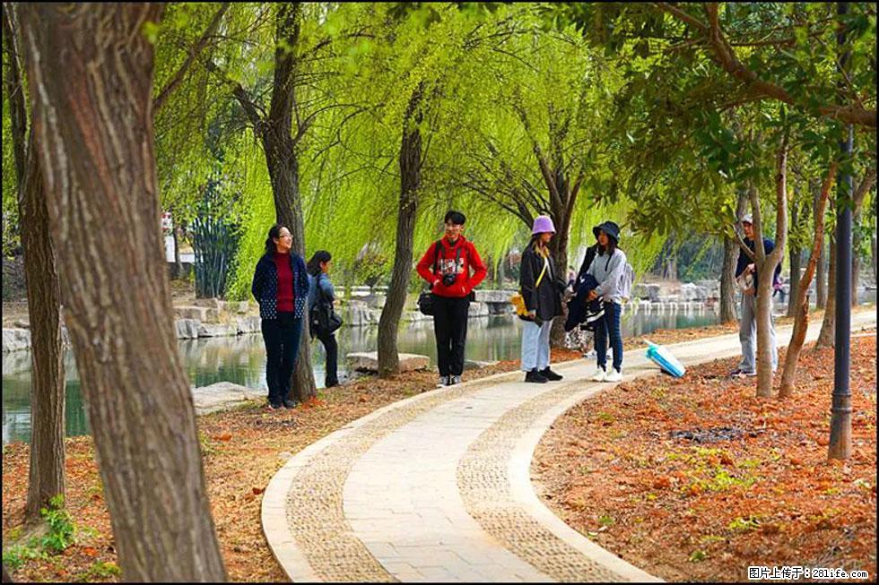 【春天，广西桂林灌阳县向您发出邀请！】江口老街又逢春 - 游山玩水 - 张北生活社区 - 张北28生活网 zhangbei.28life.com