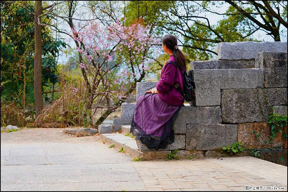 【春天，广西桂林灌阳县向您发出邀请！】江口老街又逢春 - 游山玩水 - 张北生活社区 - 张北28生活网 zhangbei.28life.com