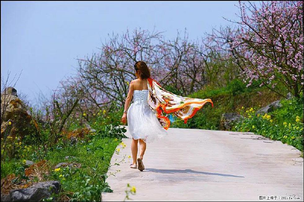 【春天，广西桂林灌阳县向您发出邀请！】望月岭上桃花开 - 游山玩水 - 张北生活社区 - 张北28生活网 zhangbei.28life.com