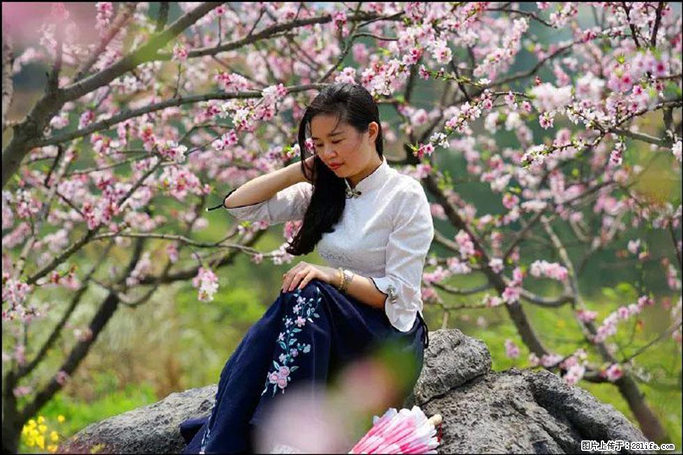 【春天，广西桂林灌阳县向您发出邀请！】望月岭上桃花开 - 游山玩水 - 张北生活社区 - 张北28生活网 zhangbei.28life.com