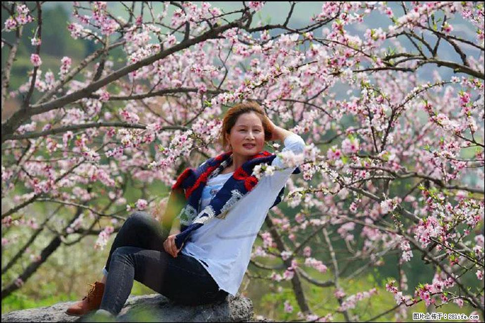 【春天，广西桂林灌阳县向您发出邀请！】望月岭上桃花开 - 游山玩水 - 张北生活社区 - 张北28生活网 zhangbei.28life.com