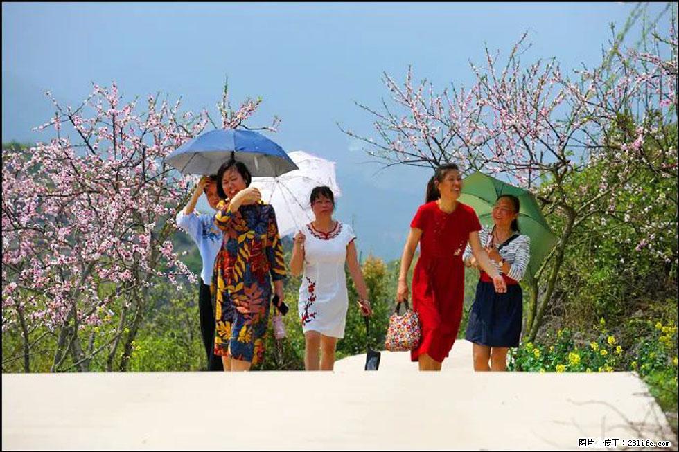 【春天，广西桂林灌阳县向您发出邀请！】望月岭上桃花开 - 游山玩水 - 张北生活社区 - 张北28生活网 zhangbei.28life.com