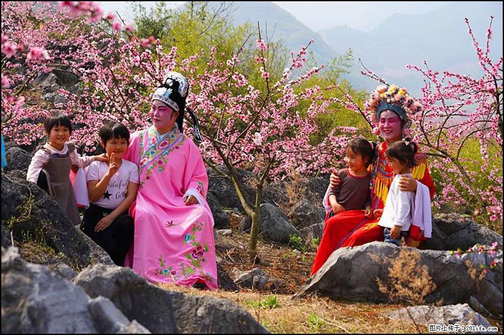 【春天，广西桂林灌阳县向您发出邀请！】望月岭上桃花开 - 游山玩水 - 张北生活社区 - 张北28生活网 zhangbei.28life.com