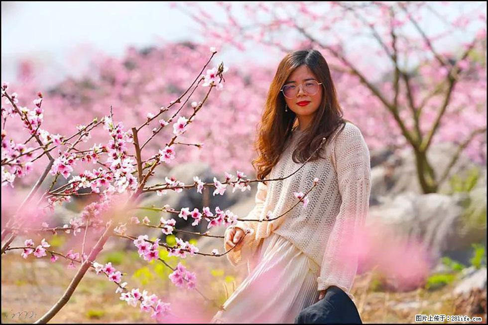 【春天，广西桂林灌阳县向您发出邀请！】望月岭上桃花开 - 游山玩水 - 张北生活社区 - 张北28生活网 zhangbei.28life.com