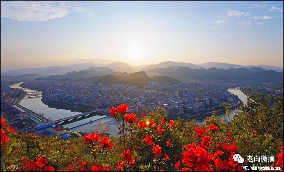 【春天，广西桂林灌阳县向您发出邀请！】登麒麟山，相约映山红 - 游山玩水 - 张北生活社区 - 张北28生活网 zhangbei.28life.com