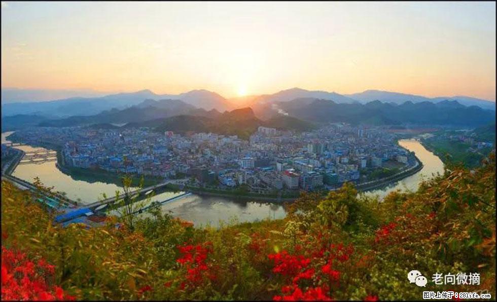 【春天，广西桂林灌阳县向您发出邀请！】登麒麟山，相约映山红 - 游山玩水 - 张北生活社区 - 张北28生活网 zhangbei.28life.com