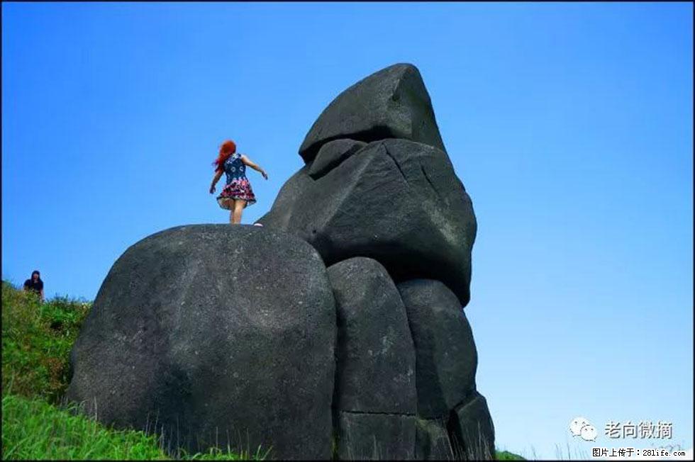 【春天,广西桂林灌阳县向您发出邀请!】宝盖山上映山红 - 游山玩水 - 张北生活社区 - 张北28生活网 zhangbei.28life.com