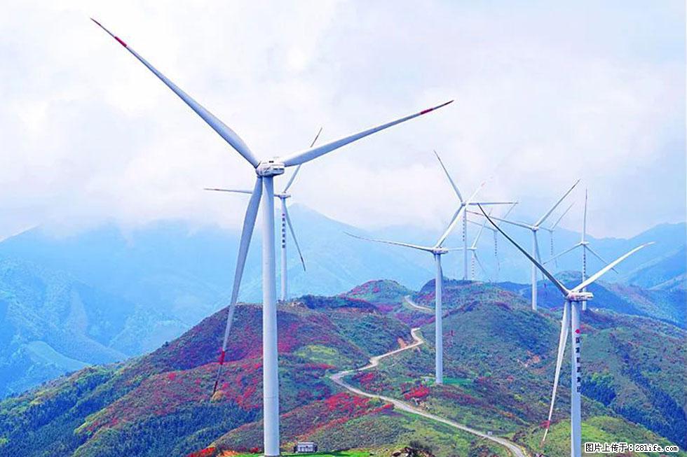 【春天,广西桂林灌阳县向您发出邀请!】春木界上映山红 - 游山玩水 - 张北生活社区 - 张北28生活网 zhangbei.28life.com