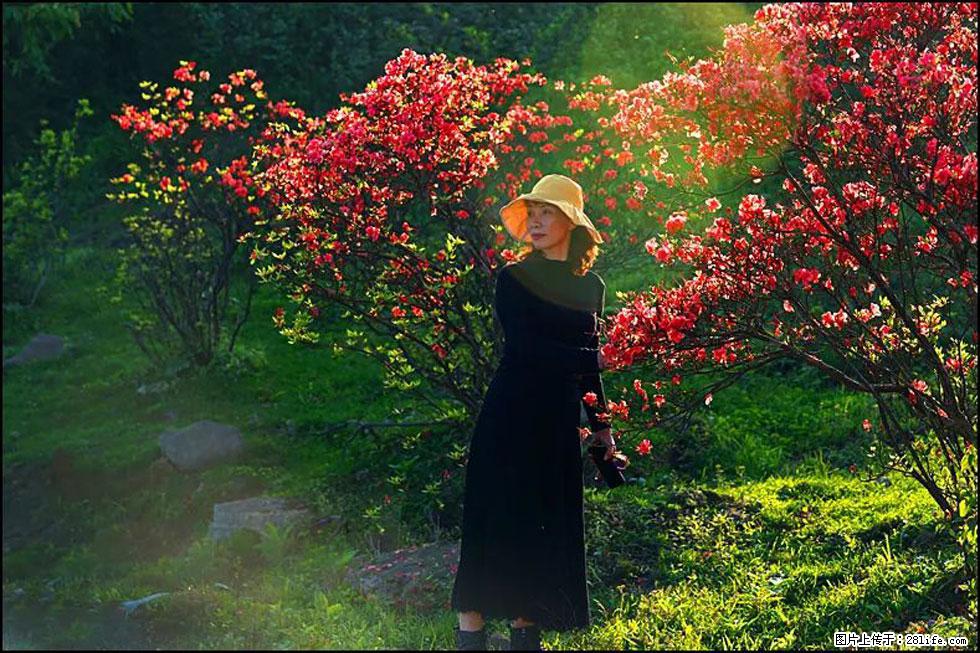 【春天,广西桂林灌阳县向您发出邀请!】春木界上映山红 - 游山玩水 - 张北生活社区 - 张北28生活网 zhangbei.28life.com