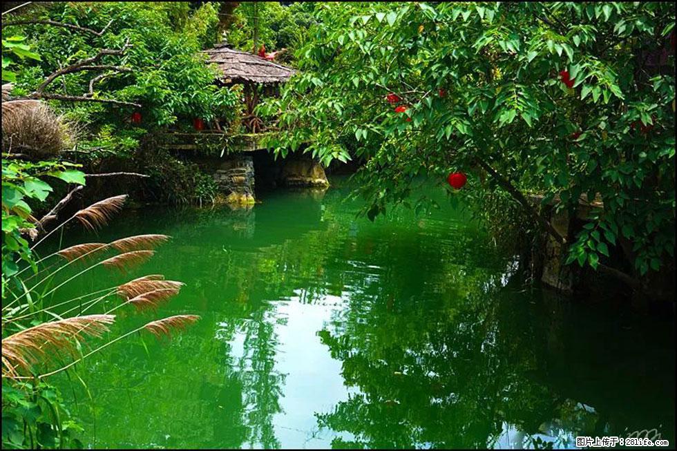 【春天，广西桂林灌阳县向您发出邀请！】如梦似幻莲溪庐 - 游山玩水 - 张北生活社区 - 张北28生活网 zhangbei.28life.com