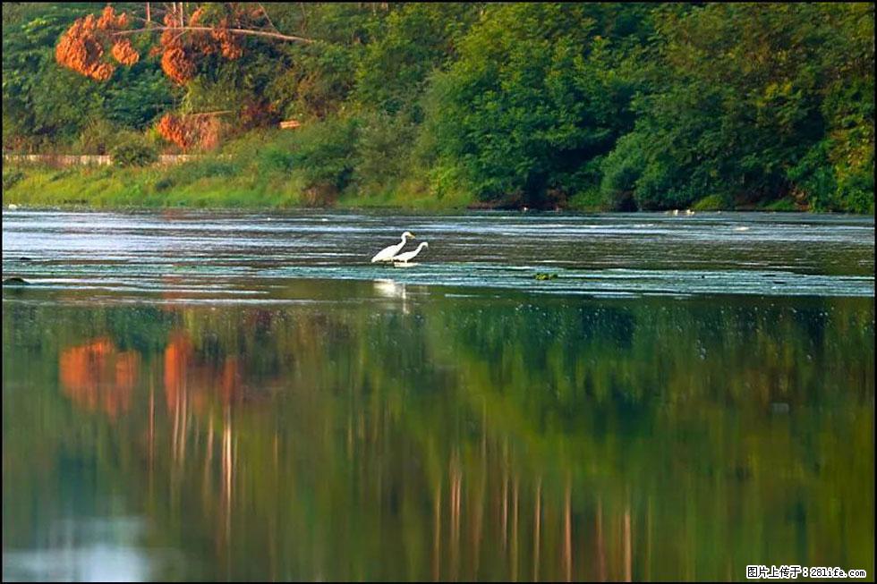 【春天,广西桂林灌阳县向您发出邀请!】熊家寨湿地公园 - 游山玩水 - 张北生活社区 - 张北28生活网 zhangbei.28life.com