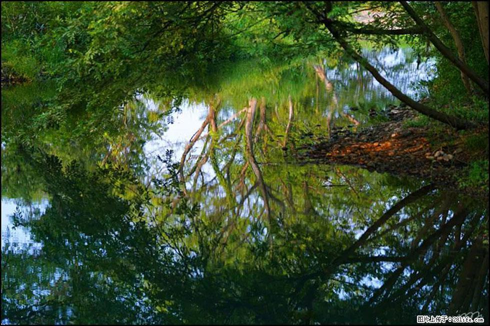 【春天,广西桂林灌阳县向您发出邀请!】熊家寨湿地公园 - 游山玩水 - 张北生活社区 - 张北28生活网 zhangbei.28life.com