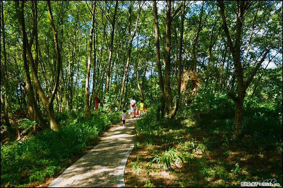 【春天,广西桂林灌阳县向您发出邀请!】熊家寨湿地公园 - 游山玩水 - 张北生活社区 - 张北28生活网 zhangbei.28life.com