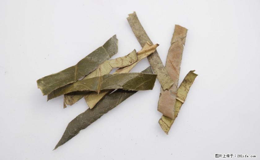 苦丁茶有哪些功效和作用 - 生活百科 - 张北生活社区 - 张北28生活网 zhangbei.28life.com