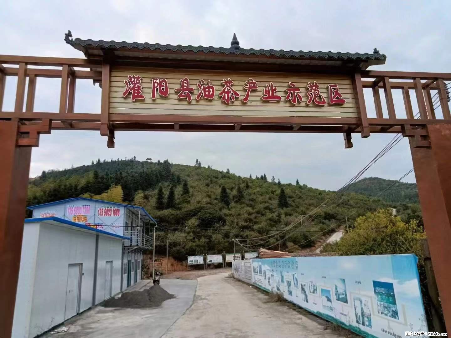 【灌阳县油茶产业示范区】一个有着充实的精神生活的人,对待身外之物自会有一种淡泊的态度 - 土特产 - 饮食特产 - 张北分类信息 - 张北28生活网 zhangbei.28life.com