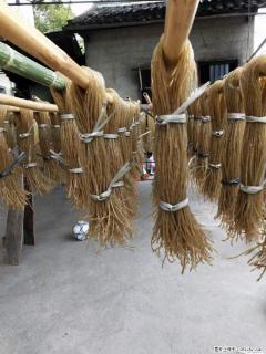 【灌阳正宗红薯粉】美女家里自己做的，干净卫生，假一赔十，价格合理，抢购电话：13737312895 - 张北28生活网 zhangbei.28life.com