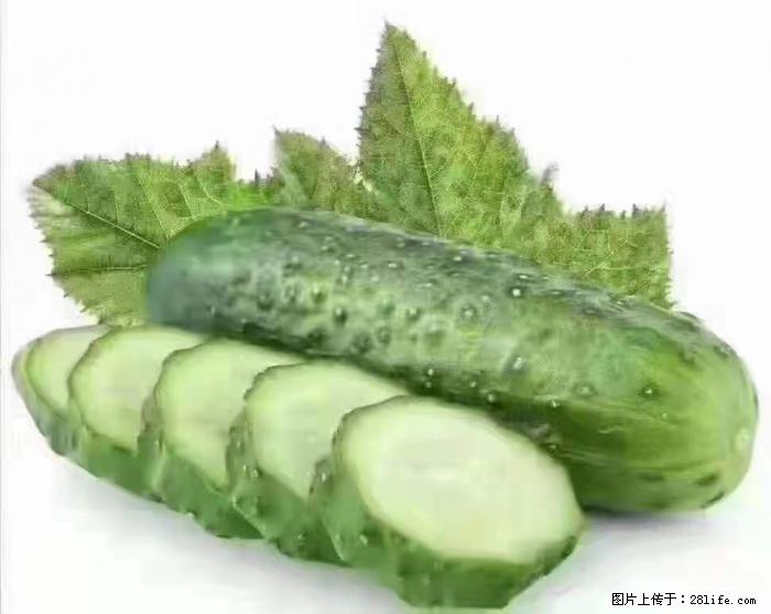 【生活小常识】吃黄瓜的好处 - 生活百科 - 张北生活社区 - 张北28生活网 zhangbei.28life.com