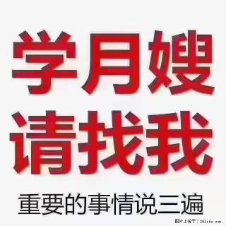 【招聘】月嫂，上海徐汇区 - 张北28生活网 zhangbei.28life.com