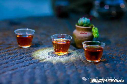 时间果百年古树2025年春红茶 - 购物交流 - 张北生活社区 - 张北28生活网 zhangbei.28life.com