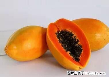 晕车、脚气、牙齿变黄、皮肤粗糙?学会这些三分钟搞定! - 张北生活资讯 - 张北28生活网 zhangbei.28life.com