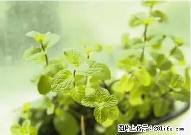 晕车、脚气、牙齿变黄、皮肤粗糙?学会这些三分钟搞定! - 张北生活资讯 - 张北28生活网 zhangbei.28life.com