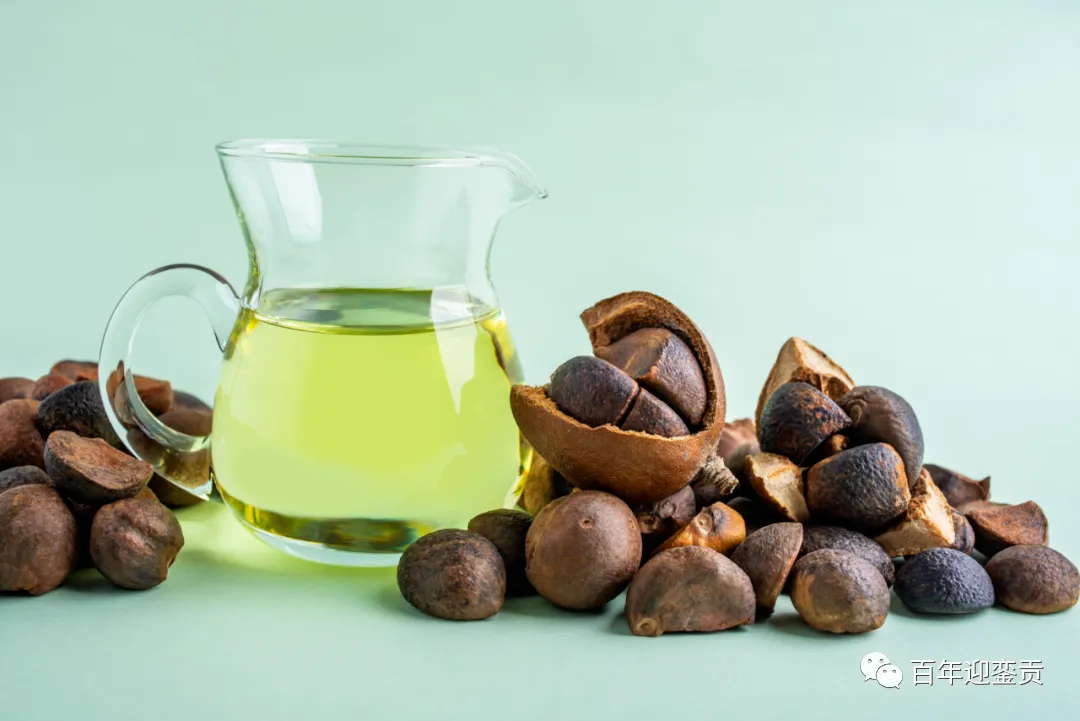世界没有真相,只有认知,最好的食用油是中国的山茶油! - 张北生活资讯 - 张北28生活网 zhangbei.28life.com