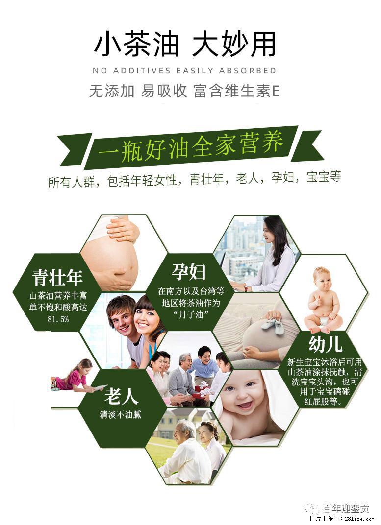 世界没有真相,只有认知,最好的食用油是中国的山茶油! - 张北生活资讯 - 张北28生活网 zhangbei.28life.com