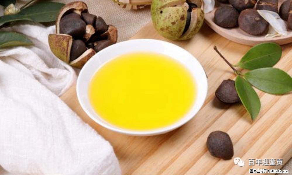 世界没有真相,只有认知,最好的食用油是中国的山茶油! - 张北生活资讯 - 张北28生活网 zhangbei.28life.com