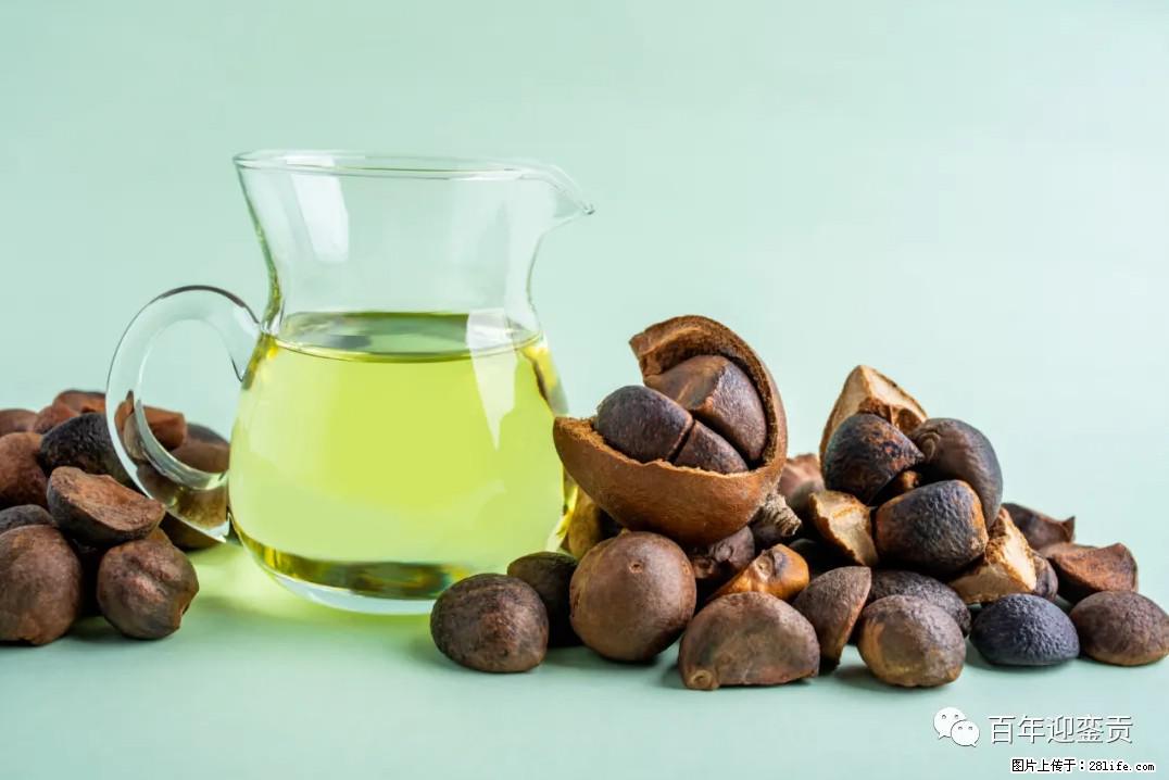 世界没有真相，只有认知，最好的食用油是中国的山茶油！ - 张北生活资讯 - 张北28生活网 zhangbei.28life.com