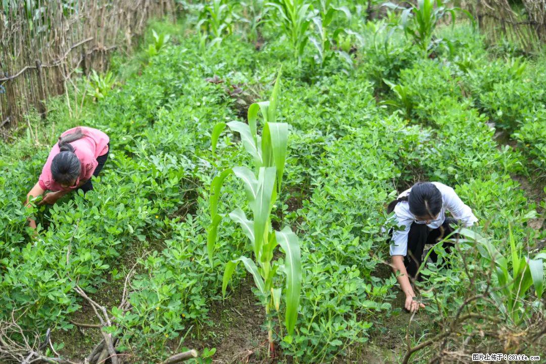 全网追的“扁担女孩”,找了一份暑假工,时薪12元 - 张北生活资讯 - 张北28生活网 zhangbei.28life.com