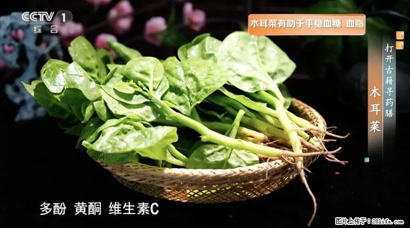 比牛奶补钙还厉害!凉血解毒、稳血糖...这菜冬天必吃,很多人却当草 - 张北生活资讯 - 张北28生活网 zhangbei.28life.com