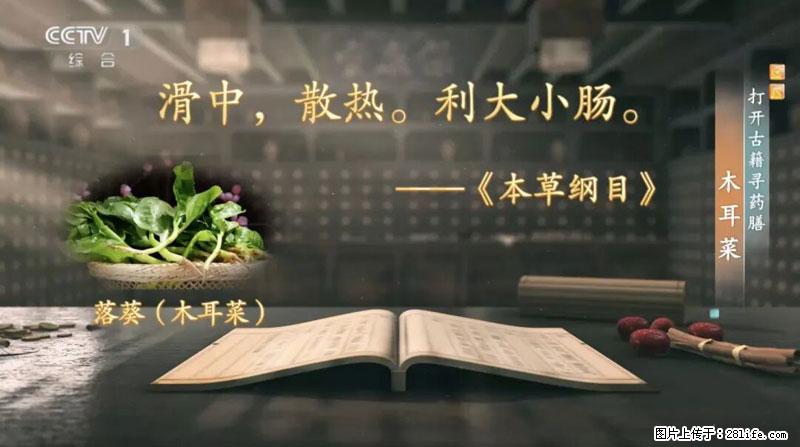 比牛奶补钙还厉害!凉血解毒、稳血糖...这菜冬天必吃,很多人却当草 - 张北生活资讯 - 张北28生活网 zhangbei.28life.com