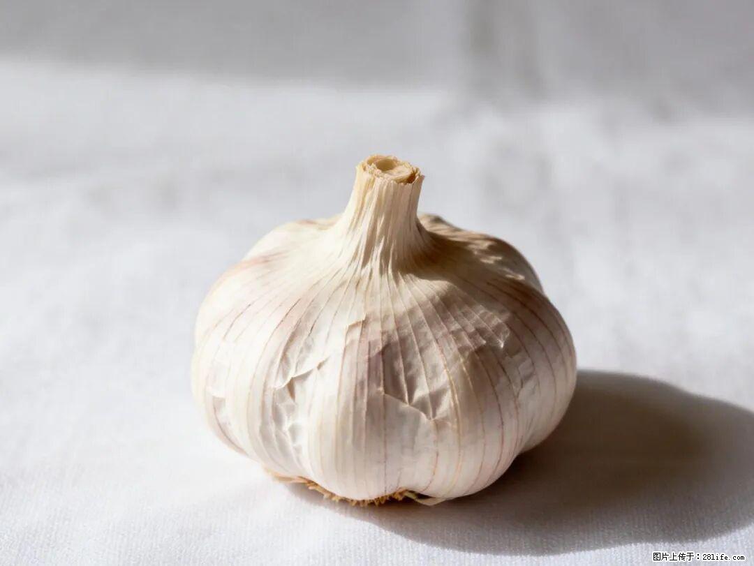 关于大蒜，除了“天然抗生素”，这4个谣言更该警惕! - 张北生活资讯 - 张北28生活网 zhangbei.28life.com