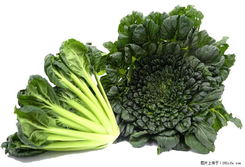 这些蔬菜是“天然钙片”，这6种被医生重点推荐 - 张北生活资讯 - 张北28生活网 zhangbei.28life.com