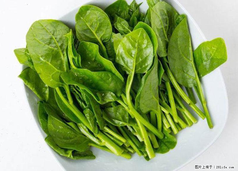 这些蔬菜是“天然钙片”，这6种被医生重点推荐 - 张北生活资讯 - 张北28生活网 zhangbei.28life.com