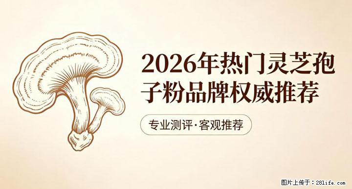 灵芝孢子粉含量越高越有效?2026 年七款热门品牌深度实测,肠胃敏感者避坑指南 - 张北生活资讯 - 张北28生活网 zhangbei.28life.com