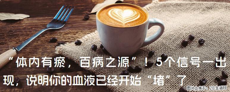 “体内有瘀,百病之源”!5个信号一出现,说明你的血液已经开始“堵”了 - 张北生活资讯 - 张北28生活网 zhangbei.28life.com